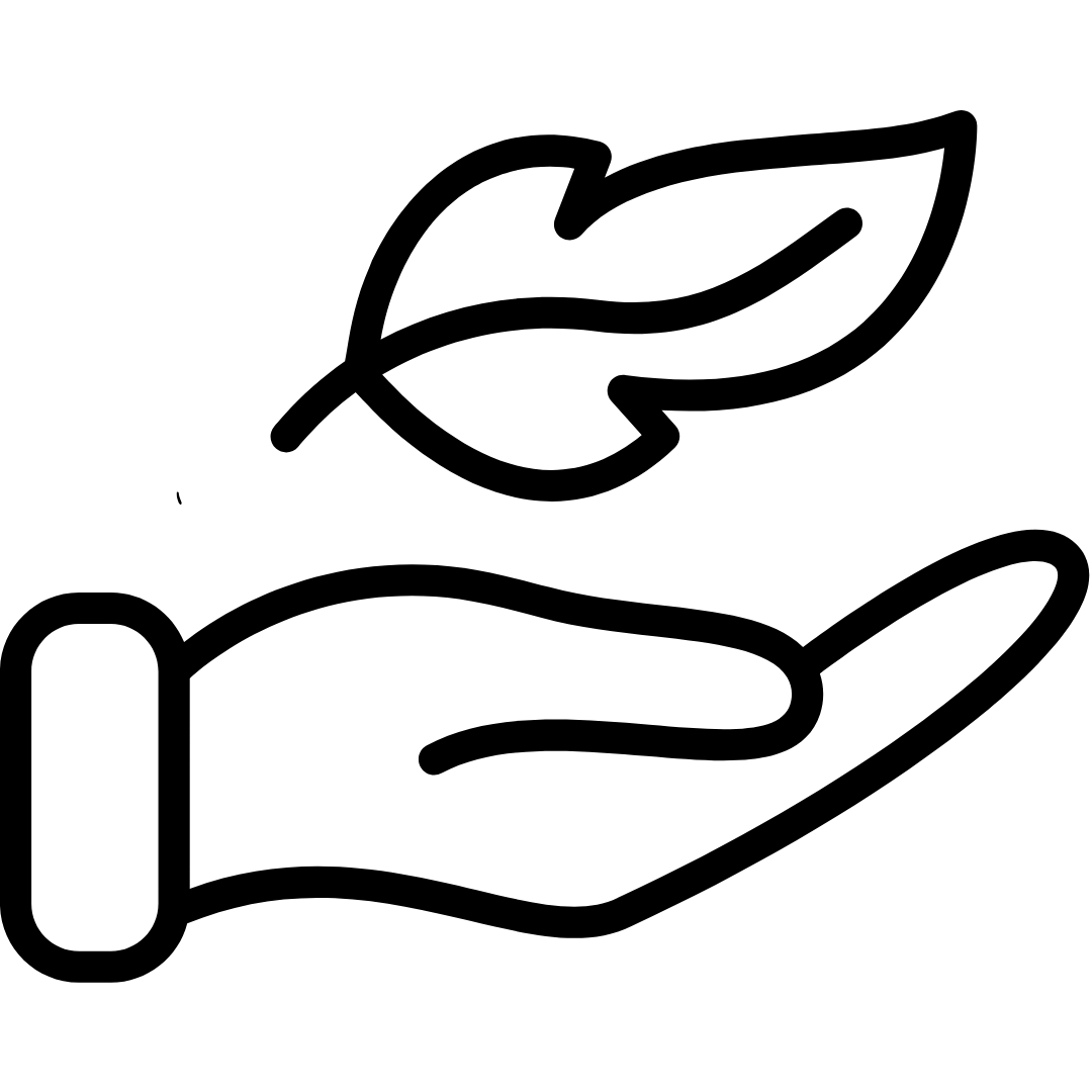 maison kizo - 2026-09-17T115112.136
